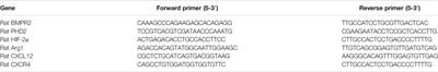 Polydatin Glycosides Improve Monocrotaline-Induced Pulmonary Hypertension Injury by Inhibiting Endothelial-To-Mesenchymal Transition